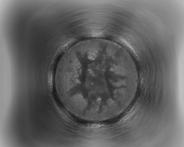 X0000096410542200801311354
