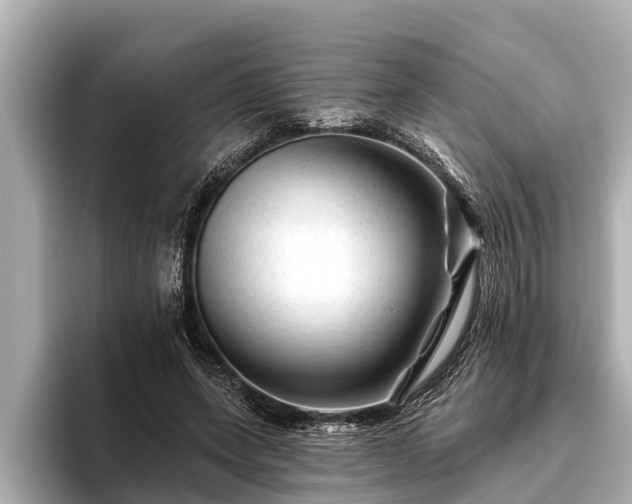 X0000096410543200801311354