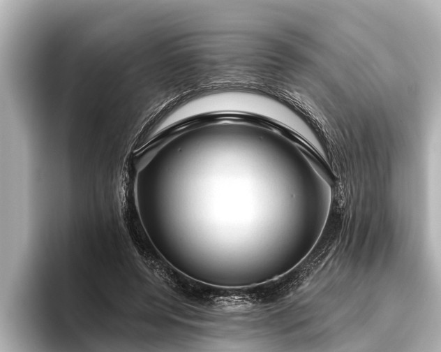 X0000096410544200801311354