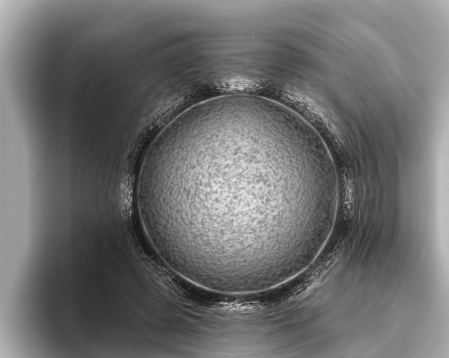 X0000096410545200801311354