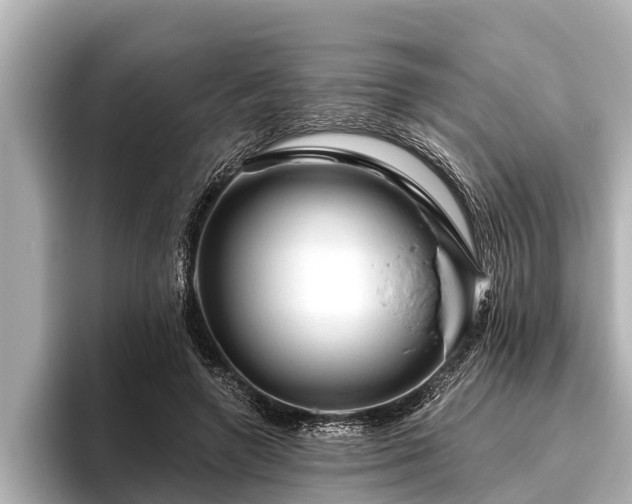 X0000096410546200801311354