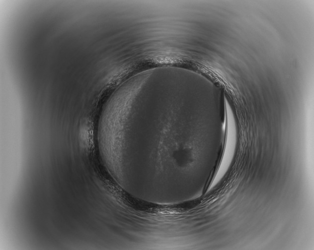 X0000096410547200801311354