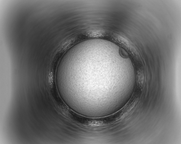 X0000096410549200801311354