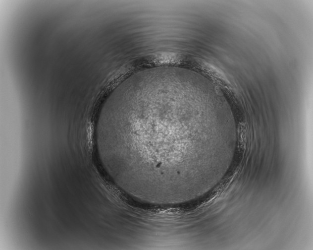 X0000096410550200801311354
