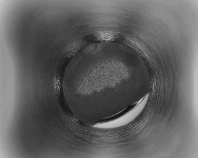 X0000096410551200801311354