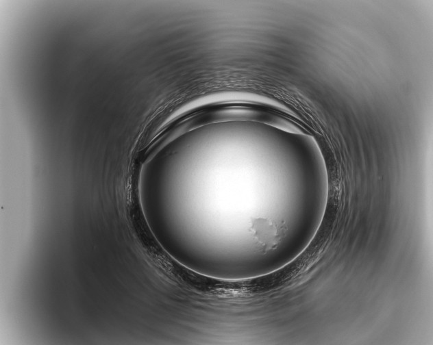 X0000096410552200801311354
