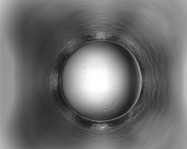 X0000096410554200801311354