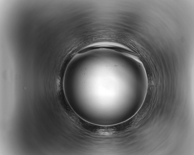 X0000096410556200801311354