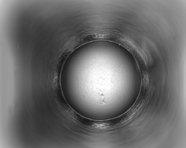 X0000096410557200801311354
