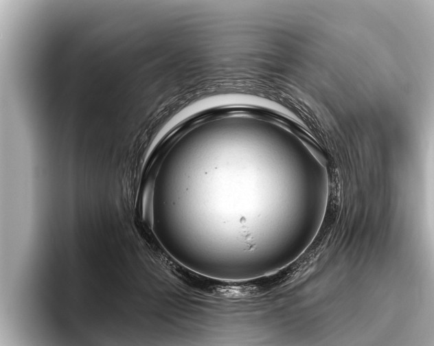 X0000096410558200801311354