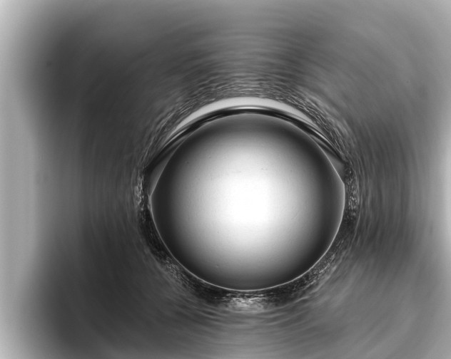 X0000096410560200801311354