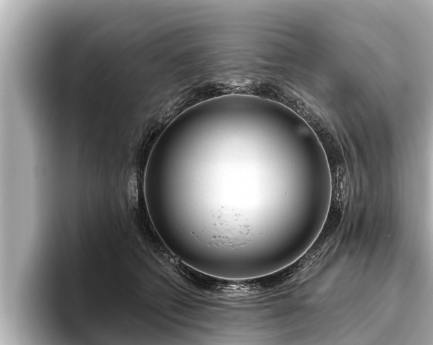 X0000096410562200801311354