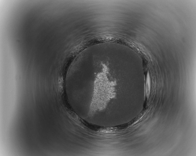 X0000096410563200801311354