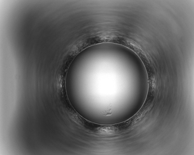 X0000096410567200801311354