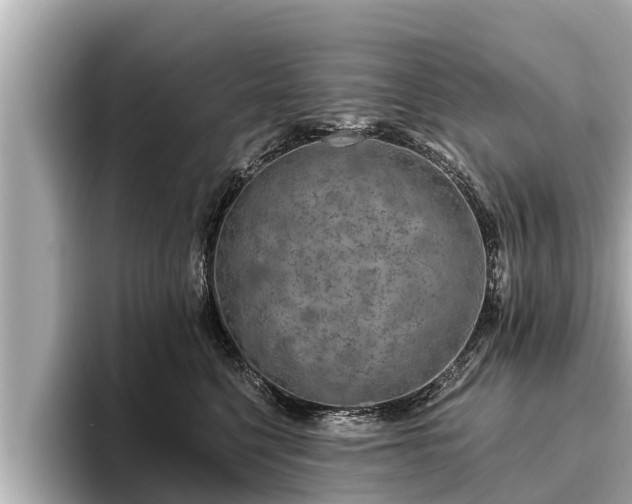X0000096410568200801311355