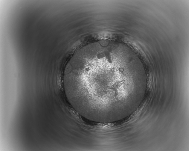 X0000096410569200801311355