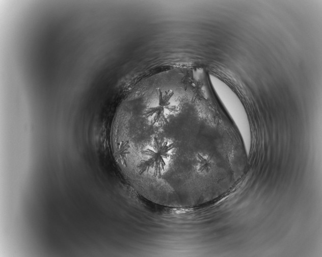 X0000096410573200801311355