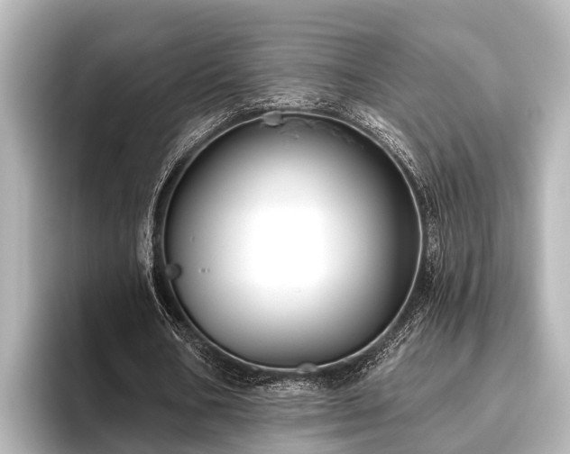 X0000096410578200801311354