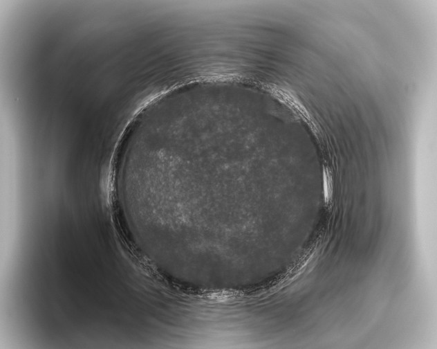 X0000096410579200801311354