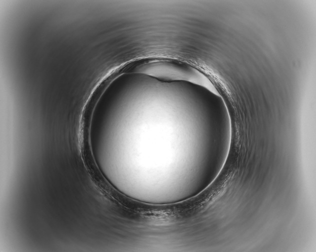 X0000096410580200801311354
