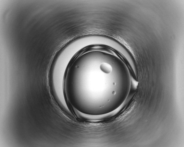 X0000096410581200801311354