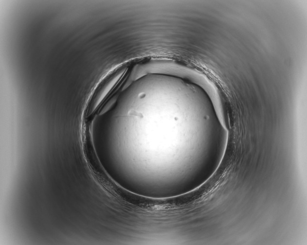 X0000096410584200801311354