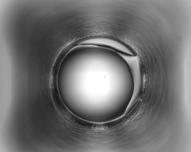 X0000096410587200801311354
