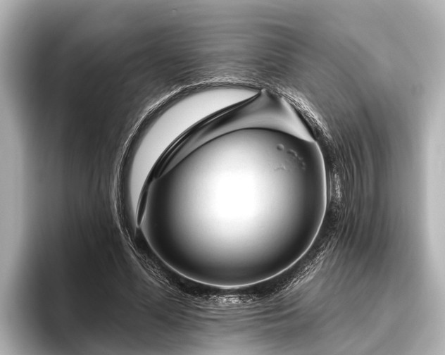 X0000096410588200801311354