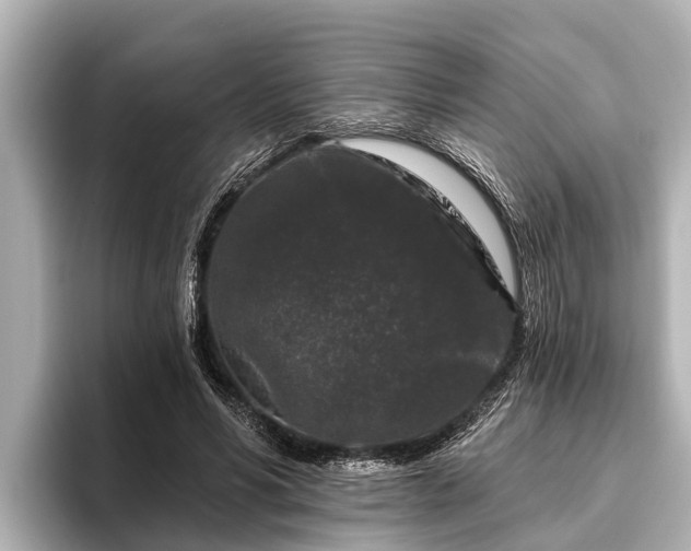 X0000096410590200801311354