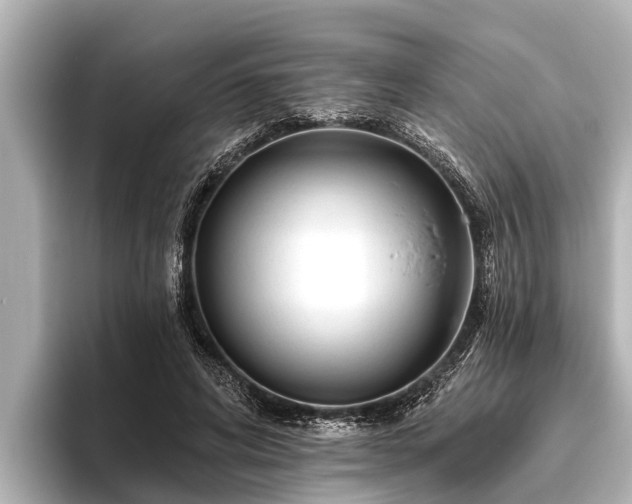 X0000096410592200801311354