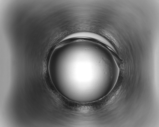X0000096410593200801311354
