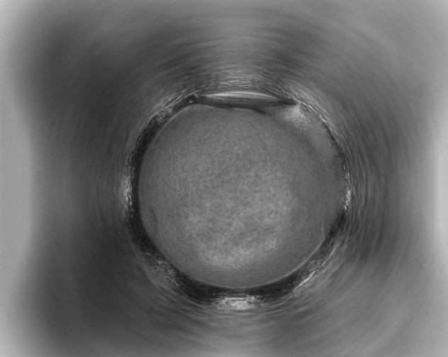 X0000096410595200801311354