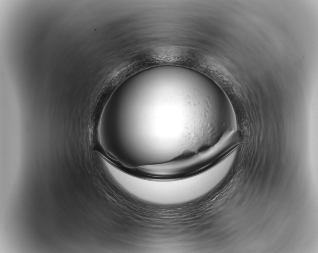 X0000096410596200801311354