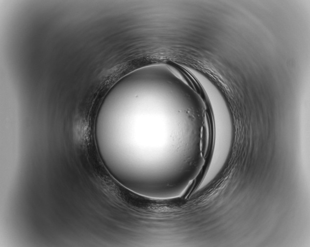 X0000096410597200801311354