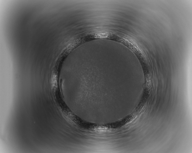 X0000096410598200801311354
