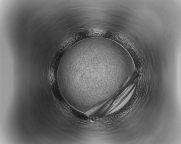 X0000096410599200801311354