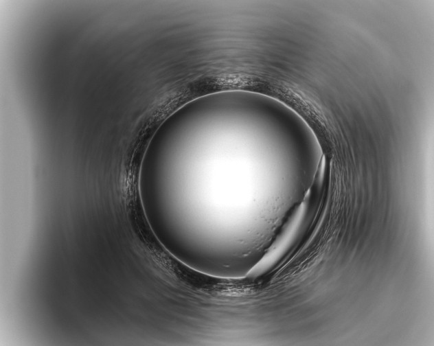X0000096410601200801311354