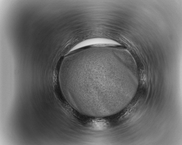 X0000096410603200801311354