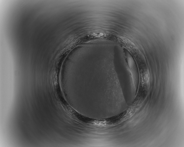 X0000096410606200801311354