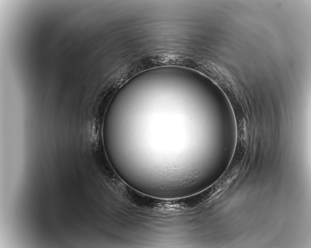 X0000096410607200801311354