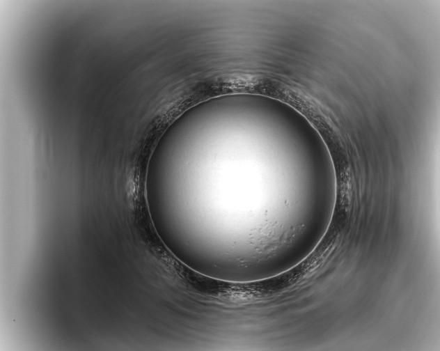X0000096410608200801311354