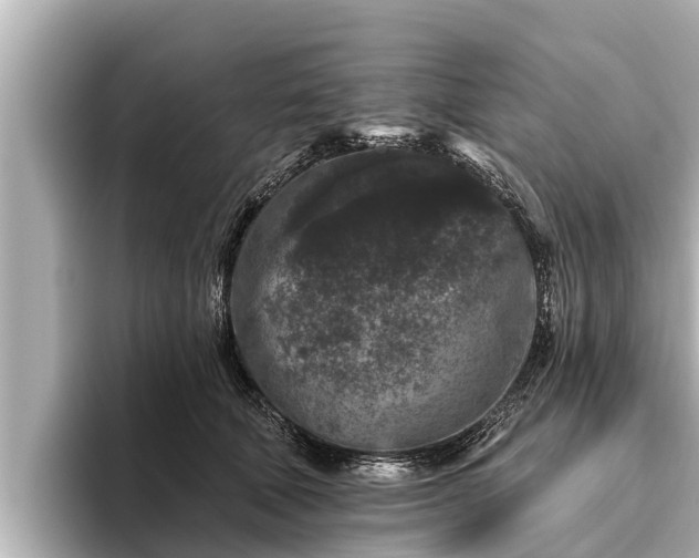 X0000096410610200801311354