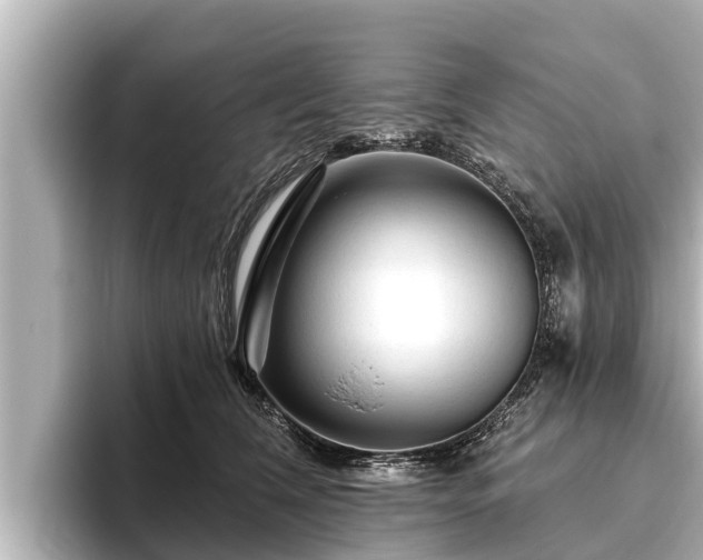X0000096410612200801311354