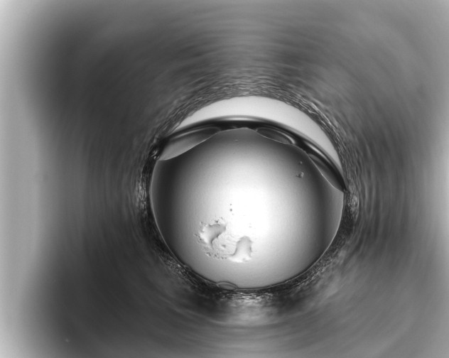X0000096410613200801311354