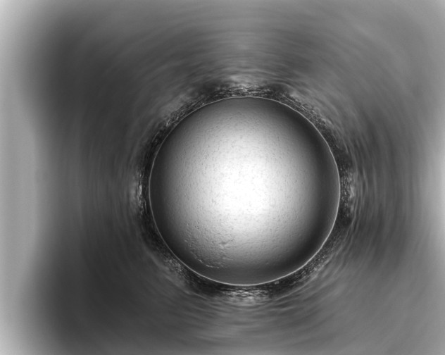 X0000096410615200801311353
