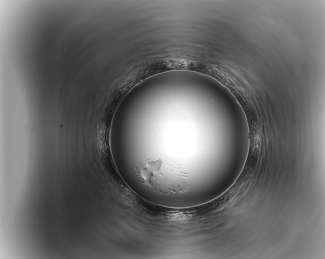 X0000096410616200801311353