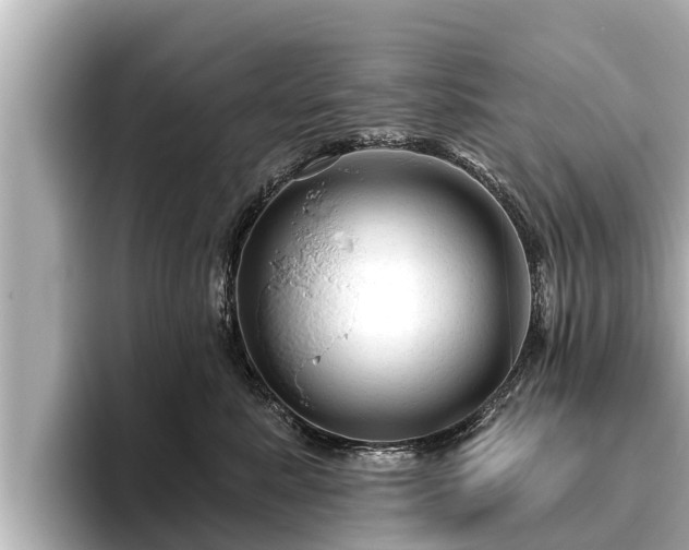 X0000096410619200801311353