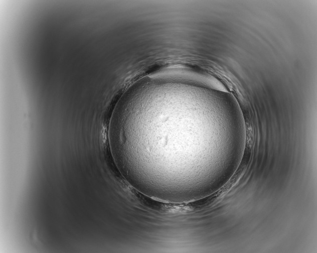 X0000096410621200801311353