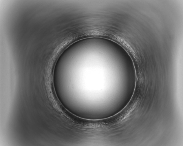 X0000096410625200801311353