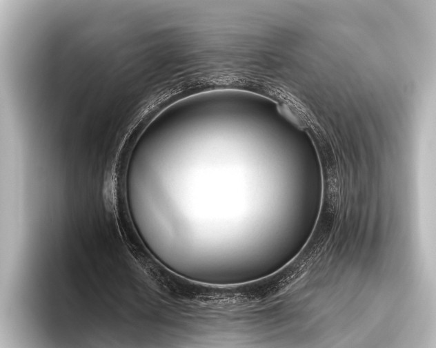 X0000096410626200801311353
